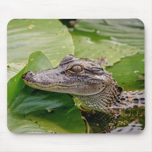 Tapis De Souris Jeune Alligator (Devant)