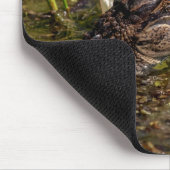 Tapis De Souris Jeune Alligator (Coin)