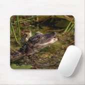 Tapis De Souris Jeune Alligator (Avec souris)