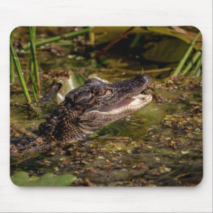 Tapis De Souris Jeune Alligator