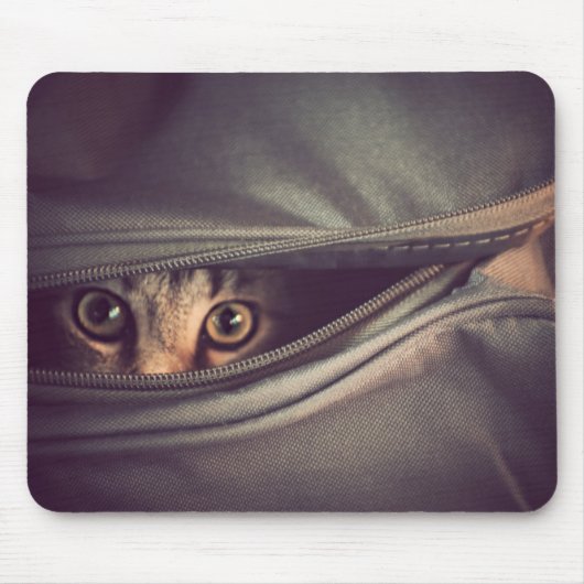 Tapis De Souris Jeune chaton tigré (Devant)