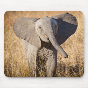 Tapis De Souris Jeune éléphant de savane