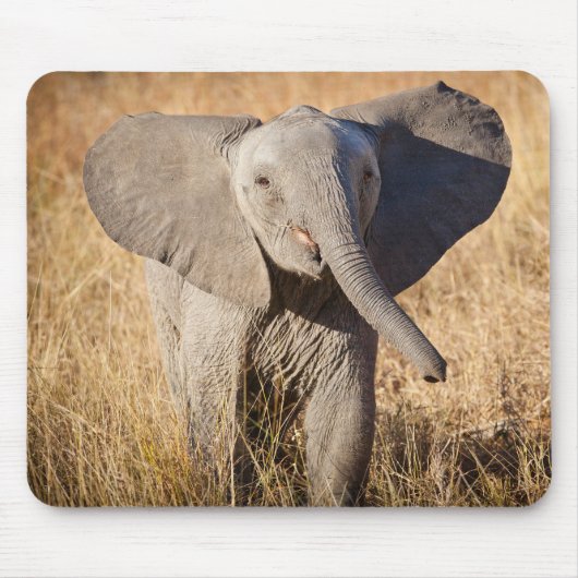 Tapis De Souris Jeune éléphant de savane (Devant)