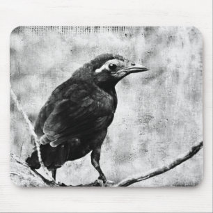 Tapis De Souris Jeune enchaînement