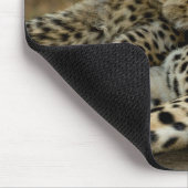 Tapis De Souris Jeune guépard câlinant sa mère (Coin)