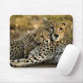 Tapis De Souris Jeune guépard câlinant sa mère (Avec souris)