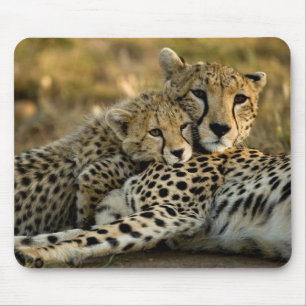 Tapis De Souris Jeune guépard câlinant sa mère