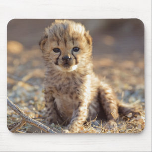 Tapis De Souris Jeune guépard mâle de 19 jours