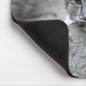Tapis De Souris Jeune léopard des neiges de 4 mois drapé sur un ro (Coin)
