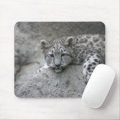 Tapis De Souris Jeune léopard des neiges de 4 mois drapé sur un ro (Avec souris)