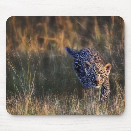 Tapis De Souris Jeune léopard Panthera Pardus (Devant)