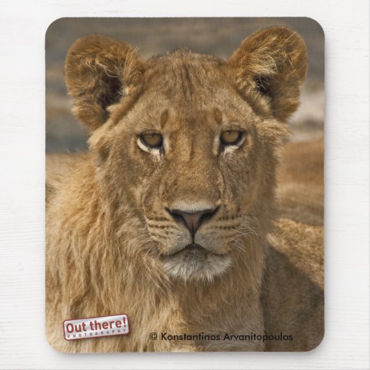 Tapis De Souris Jeune lion (Devant)