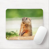 Tapis De Souris Jeune marmotte (Avec souris)