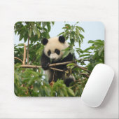Tapis De Souris Jeune mousepad de panda géant (Avec souris)