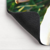 Tapis De Souris Jeune Muscovy Hen Duck (Coin)