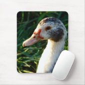 Tapis De Souris Jeune Muscovy Hen Duck (Avec souris)