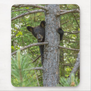 Tapis De Souris Jeune ours grimpant à un arbre