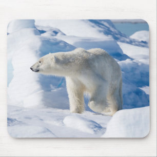 Tapis De Souris Jeune ours polaire mâle