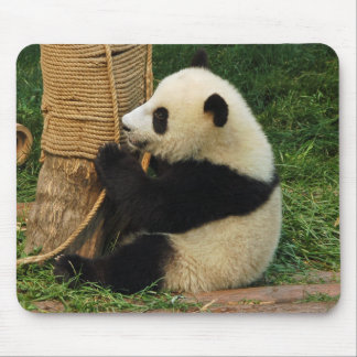 Tapis De Souris Jeune panda géant
