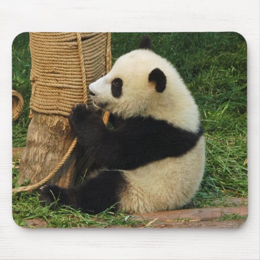 Tapis De Souris Jeune panda géant (Devant)