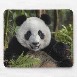 Tapis De Souris Jeune panda heureux, Chine