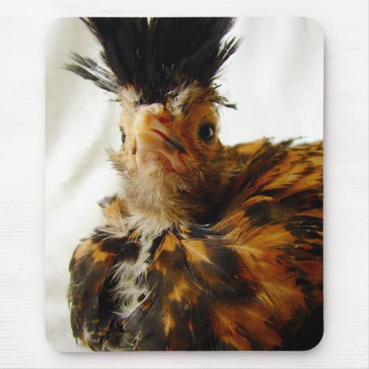 Tapis De Souris Jeune Polonais (Devant)