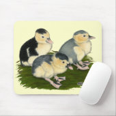 Tapis De Souris Jeunes canards Pie bleue (Avec souris)