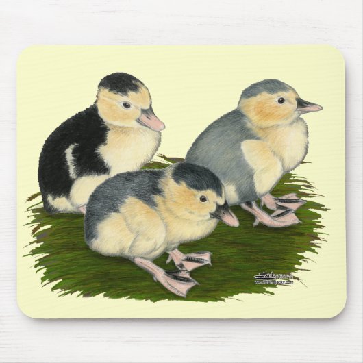 Tapis De Souris Jeunes canards Pie bleue (Devant)