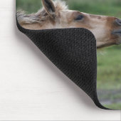 Tapis De Souris Jeunes chevaux Henson se rencontrant (Coin)