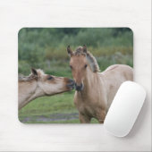 Tapis De Souris Jeunes chevaux Henson se rencontrant (Avec souris)