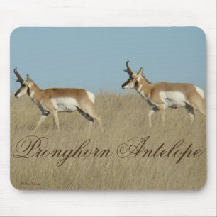 Tapis De Souris Jeunes mâles d'antilope Pronghorn A45