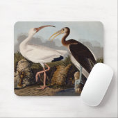 Tapis De Souris John James Audubon White Ibis Bird Print Classic (Avec souris)