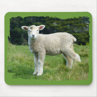 Tapis De Souris Joli agneau boueux bébé mouton dans la prairie
