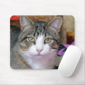 Tapis De Souris Joli chat (Avec souris)