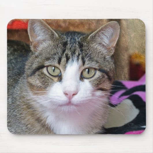 Tapis De Souris Joli chat (Devant)