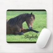 Tapis De Souris Joli Cheval Brown allongé dans l'herbe (Avec souris)