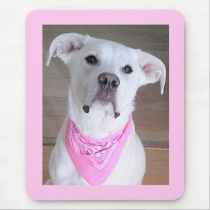 Tapis De Souris Joli Chien Aux Yeux Souloureux Quarante Rose