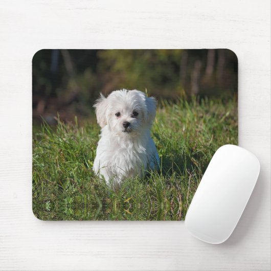 Tapis De Souris Joli chiot blanc (Avec souris)