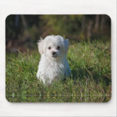 Tapis De Souris Joli chiot blanc (Devant)