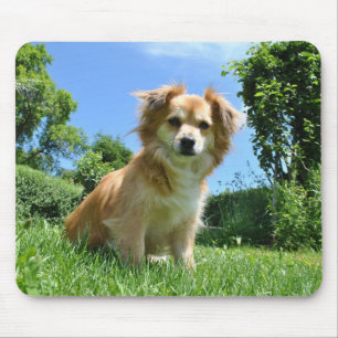 Tapis De Souris Joli chiot dans le jardin