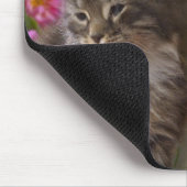 Tapis De Souris Joli chiot et chaton (Coin)