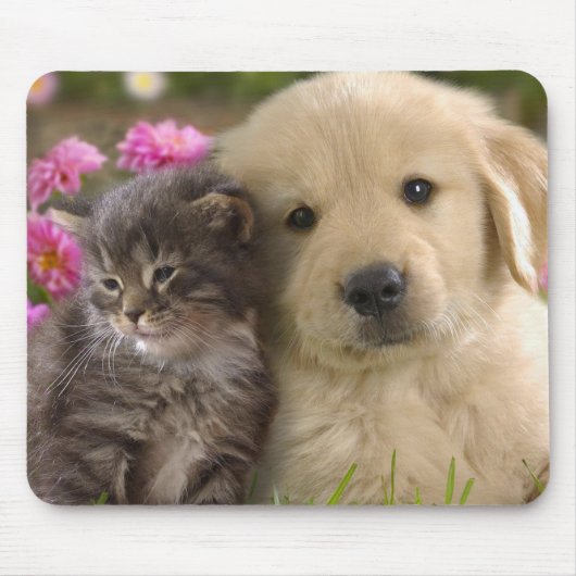 Tapis De Souris Joli chiot et chaton (Devant)