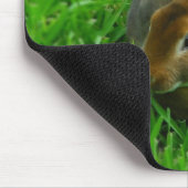 Tapis De Souris Joli lapin (Coin)