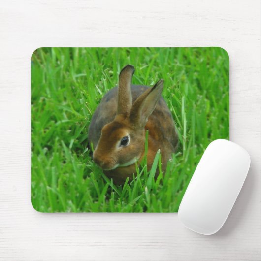 Tapis De Souris Joli lapin (Avec souris)