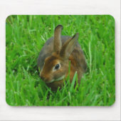 Tapis De Souris Joli lapin (Devant)