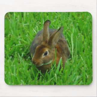Tapis De Souris Joli lapin