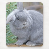 Tapis De Souris Joli lapin gris (Devant)