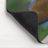 Tapis De Souris Joli oiseau Mousepad (Coin)