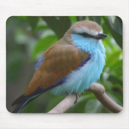 Tapis De Souris Joli oiseau Mousepad (Devant)