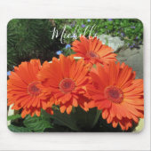 Tapis De Souris Joli Orange Daisy Photographie (Devant)